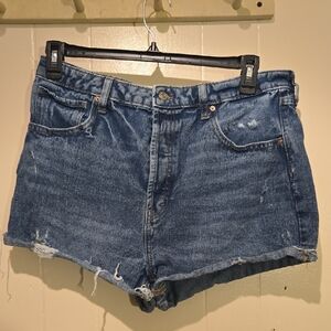 Wild Fable High Rise, Full Button Fly Blue Jean Shorts With Small Distressing